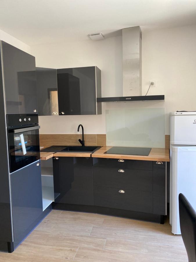 Appartements Neufs Avec Garages Dans Maison De Village Andance Exterior foto