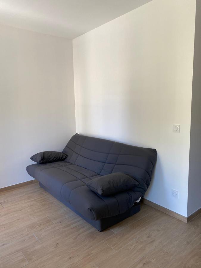 Appartements Neufs Avec Garages Dans Maison De Village Andance Exterior foto