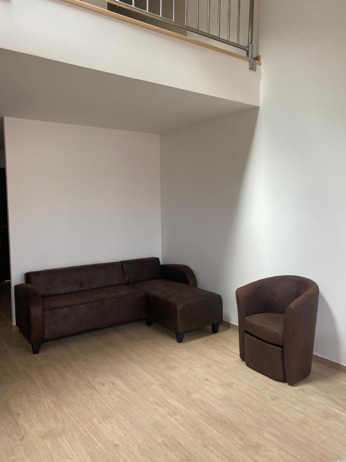 Appartements Neufs Avec Garages Dans Maison De Village Andance Exterior foto