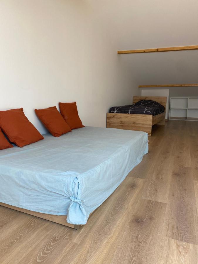 Appartements Neufs Avec Garages Dans Maison De Village Andance Exterior foto